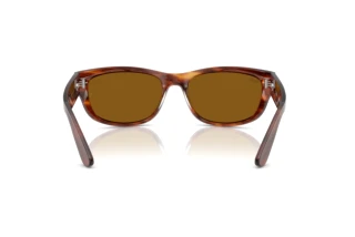 Rear view Ray-Ban MEGA BALORAMA (RB2289 - 954/33)