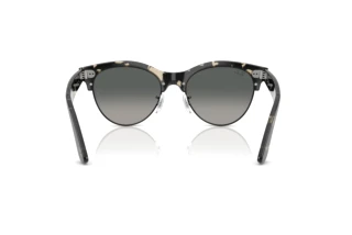 Rear view Ray-Ban CLUBMASTER WAY (RB2341 - 143371)