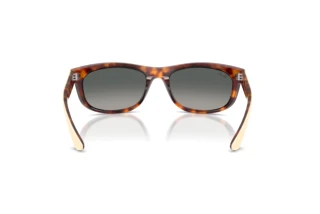 Rear view Ray-Ban BALORAMA (RB2489 - 144371)