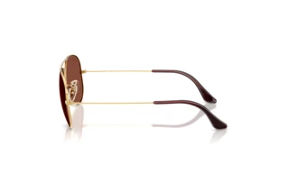 Side view Ray-Ban AVIATOR LARGE METAL (RB3025 - 001/C5)