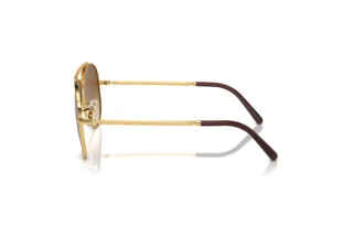Side view Ray-Ban NEW AVIATOR (RB3625 - 001/51)