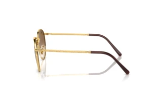 Side view Ray-Ban NEW ROUND (RB3637 - 001/51)