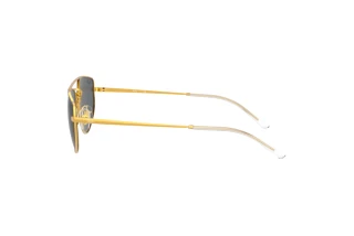 Side view Ray-Ban RB3668 (905487)