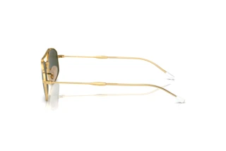 Side view Ray-Ban RB3719 (001/31)