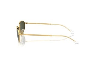 Side view Ray-Ban RB3734 (001/31)