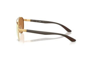 Side view Ray-Ban RB3736CH (001/I0)