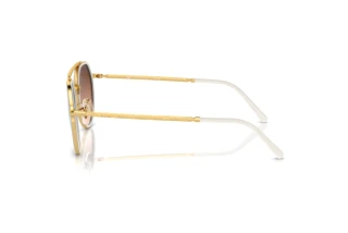 Side view Ray-Ban RB3765 (001/4O)