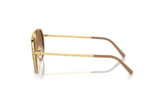 Side view Ray-Ban RB3765 (001/51)