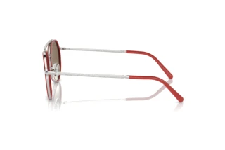 Side view Ray-Ban RB3765 (003/7O)