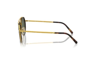 Side view Ray-Ban RB3765 (919631)