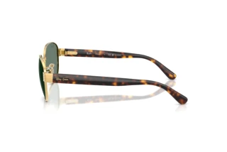 Side view Ray-Ban RB3766CH (001/O9)