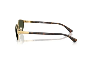 Side view Ray-Ban RB3777 (001/31)