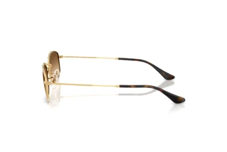 Side view Ray-Ban RB3832 (001/51)