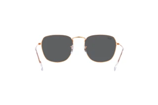 Rear view Ray-Ban FRANK (RB3857 - 9202B1)