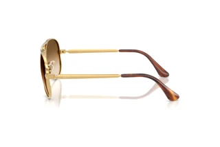 Side view Ray-Ban AVIATOR MAX (RB3925 - 001/51)