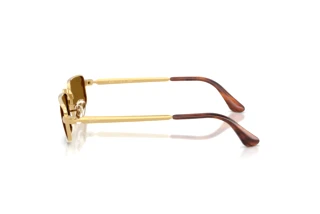 Side view Ray-Ban RB3927 (001/33)