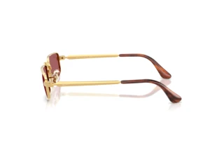 Side view Ray-Ban RB3927 (001/AF)