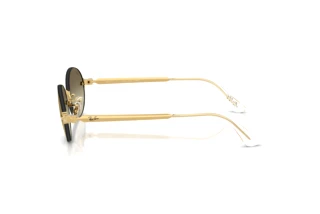 Side view Ray-Ban RB3929 (001/7I)