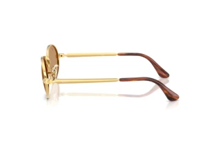 Side view Ray-Ban RB3931 (001/53)