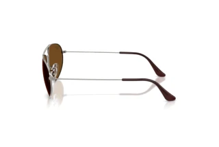 Side view Ray-Ban RB3945 (004/57)