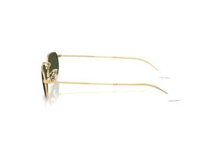 Side view Ray-Ban RB3947 (001/31)