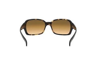 Rear view Ray-Ban RB4068 (RB4068 - 710/51)