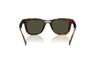 Rear view Ray-Ban FOLDING WAYFARER (RB4105 - 710/31)
