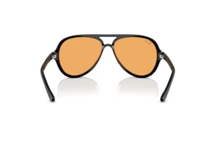 Rear view Ray-Ban CATS 5000 (RB4125 - 601/33)