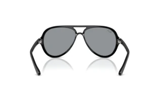 Rear view Ray-Ban CATS 5000 (RB4125 - 601/R5)