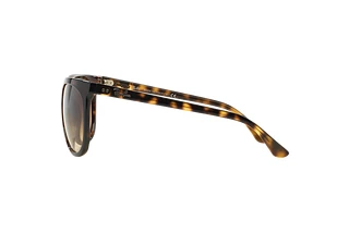Side view Ray-Ban CATS 1000 (RB4126 - 710/51)