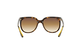 Rear view Ray-Ban CATS 1000 (RB4126 - 710/51)