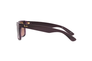 Side view Ray-Ban JUSTIN (RB4165 - 659514)