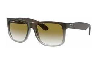 Ray-Ban RB4165 854/7Z LIGHT GREY GRADIENT GREENRUBBER BROWN ON GREY