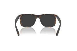 Rear view Ray-Ban JUSTIN (RB4165 - 865/87)