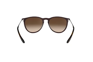 Rear view Ray-Ban ERIKA (RB4171 - 631513)