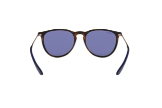 Rear view Ray-Ban ERIKA (RB4171 - 639276)