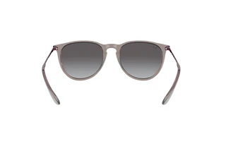 Rear view Ray-Ban ERIKA (RB4171 - 65138G)