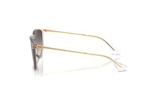 Side view Ray-Ban ERIKA (RB4171 - 674211)