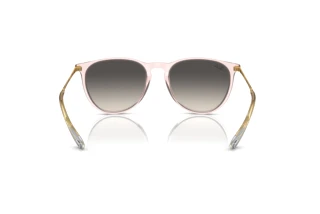 Rear view Ray-Ban ERIKA (RB4171 - 674211)