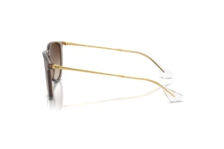 Side view Ray-Ban ERIKA (RB4171 - 674413)