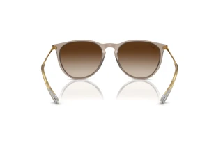 Rear view Ray-Ban ERIKA (RB4171 - 674413)