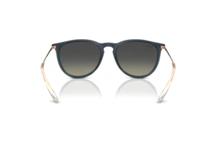 Rear view Ray-Ban ERIKA (RB4171 - 681311)