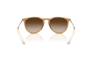 Rear view Ray-Ban ERIKA (RB4171 - 681413)