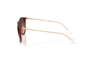 Side view Ray-Ban ERIKA (RB4171 - 6815A5)