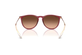 Rear view Ray-Ban ERIKA (RB4171 - 6815A5)