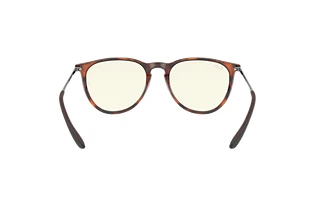 Rear view Ray-Ban ERIKA (RB4171 - 865/SB)