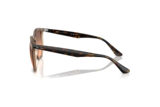 Side view Ray-Ban RB4306 (678846)