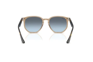 Rear view Ray-Ban RB4306 (6788V1)
