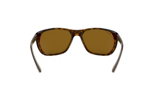 Rear view Ray-Ban RB4307 (710/83)
