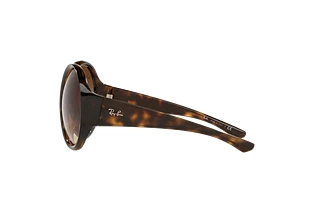 Side view Ray-Ban RB4345 (710/13)